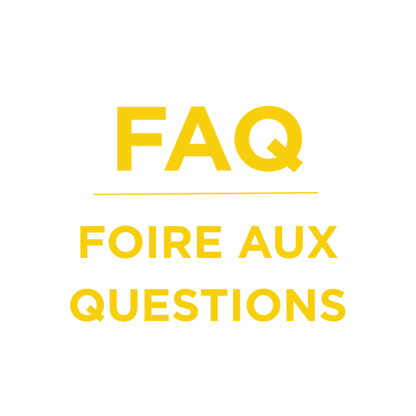 Visuel Un été show prog site web