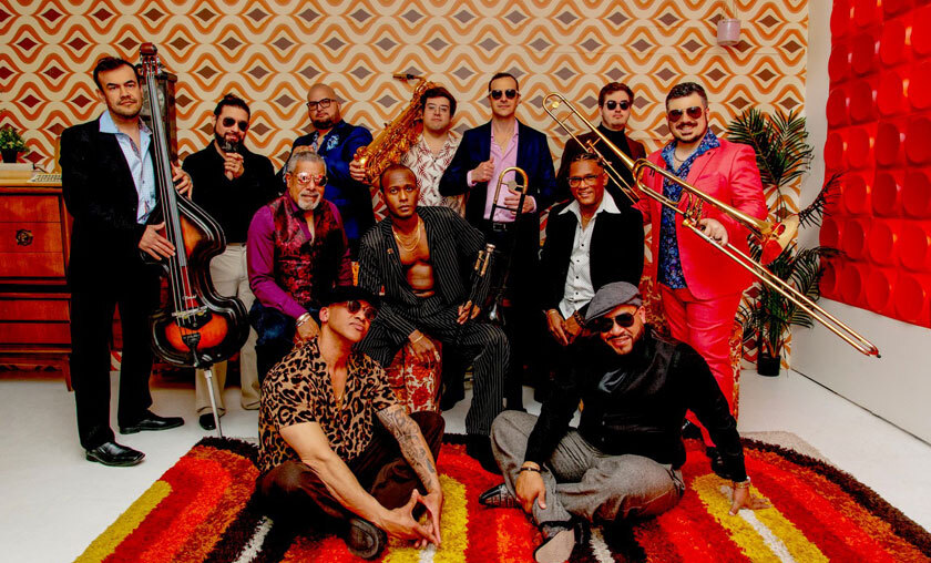 lengaïa-salsa-brava-horizontal-78e6fe0443740caa99a6.jpeg