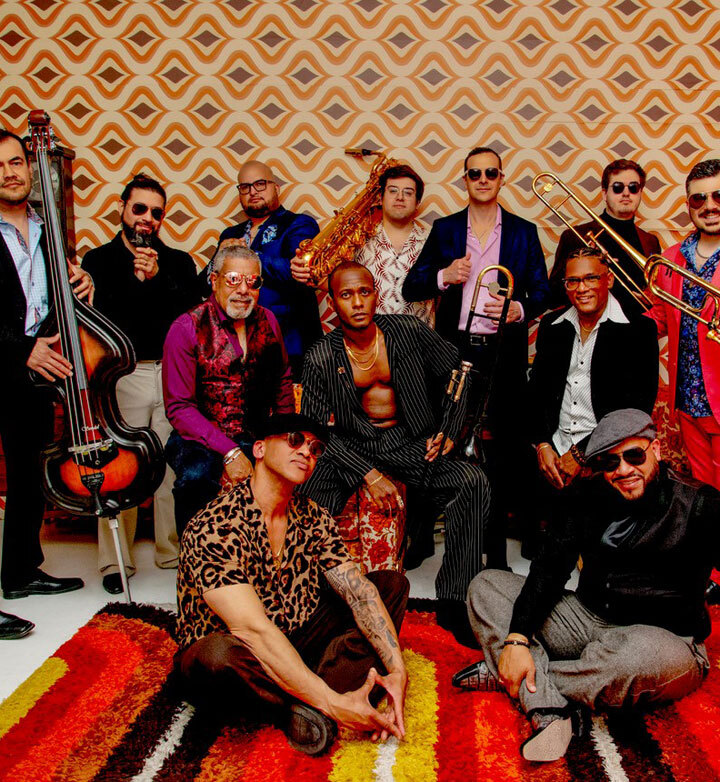 lengaïa-salsa-brava-vertical-608509724cae27e1e474.jpeg